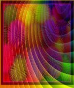 Flowers With Coloures